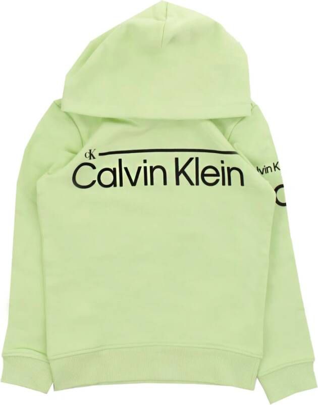 Calvin Klein Hoodie INSTITUTIONAL LINED LOGO